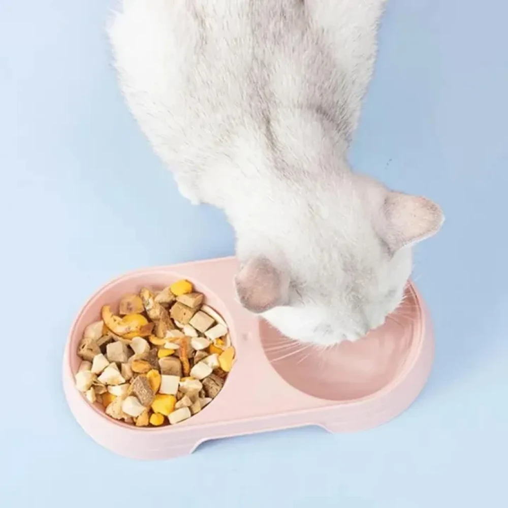 Pet Dishes Solid Color Double Bowl